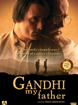 我的父亲甘地