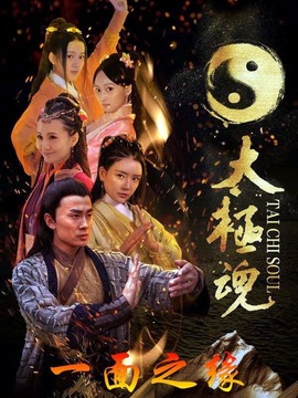 太极魂之一面之缘