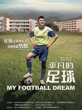 平凡的足球