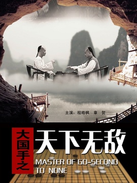 大国手之天下无敌